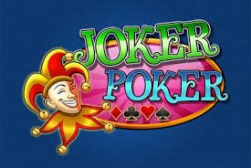 wow girls Live Tournaments